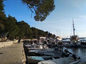 Naturlandskabet i nærheden af lejligheden