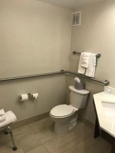 a bathroom with a toilet and a sink at Holiday Inn Express Memphis Medical Center - Midtown, an IHG Hotel in Memphis