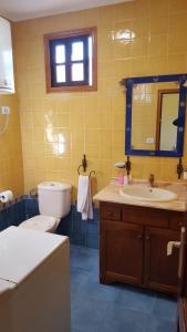 un bagno con un water, un lavandino e uno specchio di Casita Playa La Salemera (Mazo) a Malpaíses Altre 35 foto