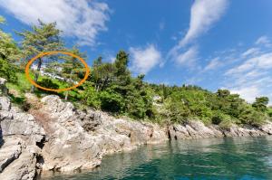 Fotografie z fotogalerie ubytování Rooms Mirjana v destinaci Medveja