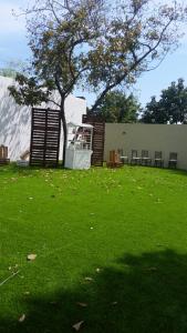 a green yard with a tree and a building at Hotel Panama 510 in Tampico