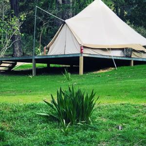 a large tent in a field of green grass at Garden Beds Glamping in Blackwood