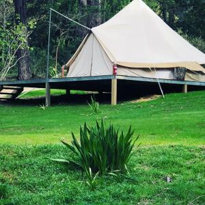 Zahrada ubytování Garden Beds Glamping