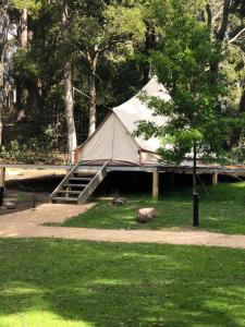 a tent with a ramp in a park at Garden Beds Glamping in Blackwood