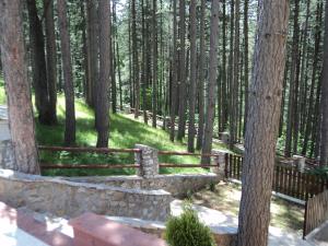 Fotografie z fotogalerie ubytování Hotel Asara v destinaci Ardino