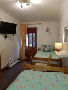 een slaapkamer met 2 bedden en een tv aan de muur bij Lyndale Family Apt Winter Deals offered on 3 nts or more in Windermere