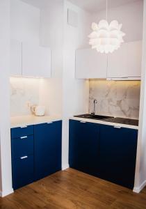 Kuchyňa alebo kuchynka v ubytovaní Apartamenty Rakowicka WAWELOFTS