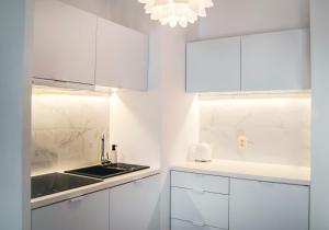 Kuchyňa alebo kuchynka v ubytovaní Apartamenty Rakowicka WAWELOFTS