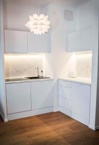 Kuchyňa alebo kuchynka v ubytovaní Apartamenty Rakowicka WAWELOFTS