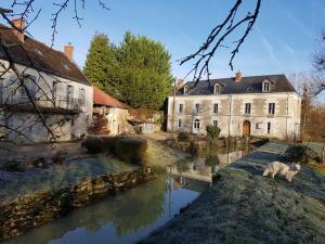 a cat standing next to a river in front of a building at Le Moulin du Bourg in Épeigné-les-Bois