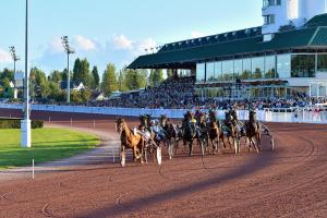 a group of horses running on a race track at Cabourg - Hyper Centre, plage in Cabourg