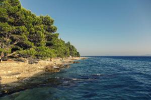Fotografie z fotogalerie ubytování Mobile Homes Camp Baško Polje - Adriatic Kampovi v destinaci Baška Voda