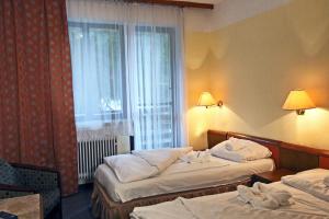 Łóżko lub łóżka w pokoju w obiekcie Hotel Medlov Depandance