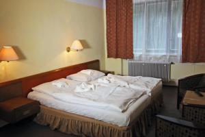 Łóżko lub łóżka w pokoju w obiekcie Hotel Medlov Depandance