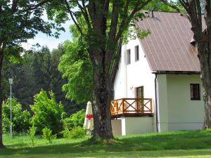 une maison blanche avec un arbre et un parasol dans l'établissement Rodinný hotel Pod Bílou skálou, à České Křižánky