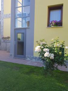 Zahrada ubytování Guest house Il Giardino in Città