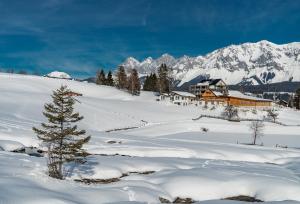 Appartement - das kleine Bleiberger by Schladmingurlaub v zime