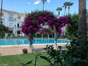 Fotografie z fotogalerie ubytování Ricky´s village El Patio v destinaci Denia