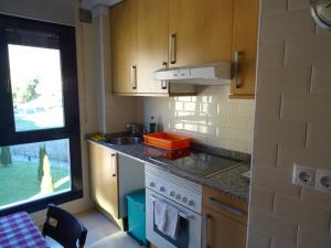 a small kitchen with a sink and a stove at Apartamento Los Naranjos in Ribadesella