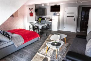 Kuchyňa alebo kuchynka v ubytovaní Apartament Łania Frania