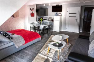 a living room with a bed and a kitchen at Apartament Łania Frania in Ustrzyki Dolne