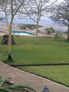 a grassy yard with a swimming pool and trees at Thokazi Royal Lodge in Nongoma