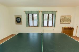 Stolní tenis v ubytování Holiday House Vitice 21 nebo okolí
