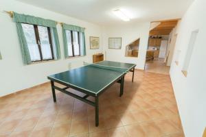 Stolní tenis v ubytování Holiday House Vitice 21 nebo okolí