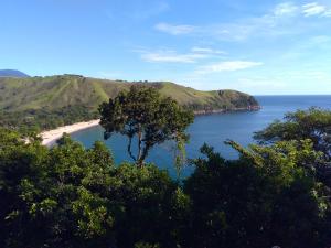 a view of a beach with a tree in the foreground at Paraíso de Toque Toque Grande in São Sebastião