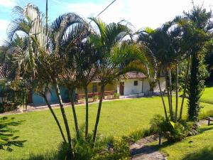 una casa con palme di fronte a un cortile di Paraíso de Toque Toque Grande a São Sebastião