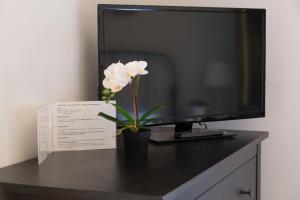 a vase of flowers on a desk with a television at Gregorios San Pietro Guesthouse in Rome