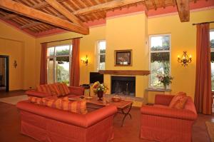 ein Wohnzimmer mit 2 Sofas und einem Kamin in der Unterkunft Tenuta Santa Cristina in Magliano Sabina
