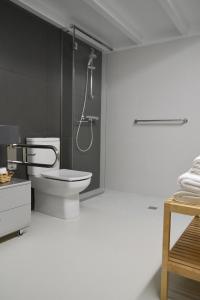 a bathroom with a toilet and a shower at ATERIAN LOFT 2 in Zarautz