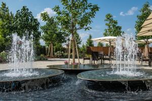 Zahrada ubytování Lotrinský hotel