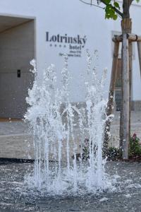 Fotografie z fotogalerie ubytování Lotrinský hotel ve Velkých Pavlovicích