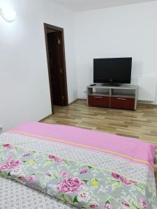 Un dormitorio con una cama y un televisor de pantalla plana. en Hotel Restaurant Enigma Plopeni, en Plopeni