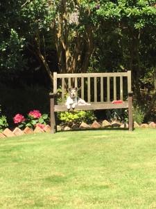 A garden outside Clinkgate Farmhouse 