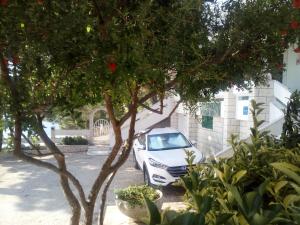 Vonkajšia záhrada v ubytovaní VILLA ANA ZIVOGOSCE-Apartment4