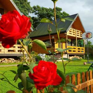 Uma casa com rosas vermelhas à frente. em Domki Letniskowe Zbyszko em Świnoujście