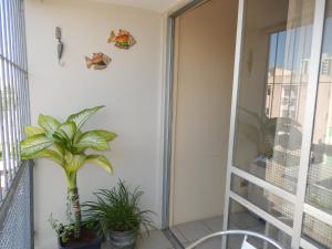 un balcón con una planta y una ventana en APTº EM OLINDA CASA CAIADA, en Olinda