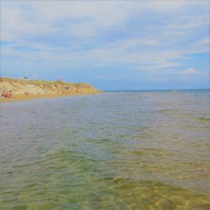 Táj Show holiday homes közelében