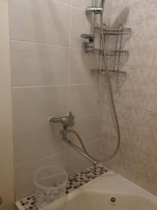 La salle de bains est pourvue d'une douche et de toilettes. dans l'établissement Flat, 1 room, study, à Panevėžys