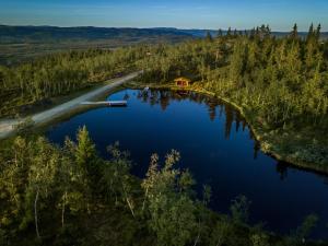 una vista aérea de un lago en un bosque en Liapark en Ål