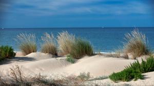a pair of sand dunes with the ocean in the background at Leo Punta Umbría in Punta Umbría