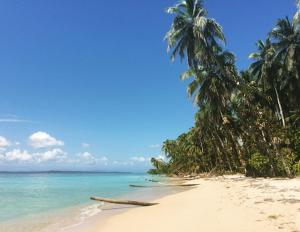 a beach with two palm trees and the ocean at Play to Live San Blas in El Porvenir