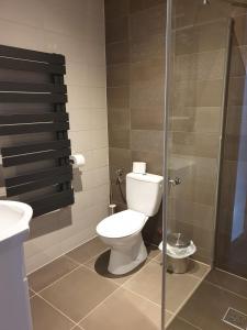 a bathroom with a toilet and a glass shower at CENTER rooms in Miskolc