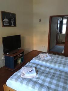 two beds in a room with a tv and a mirror at Penzión Príjemný Oddych in Banská Štiavnica