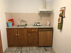 uma cozinha com um lavatório e uma bancada em Narkissos Studios em Aliki