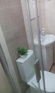 Koupelna v ubytování Aliciamar 29 by Casas de Setúbal