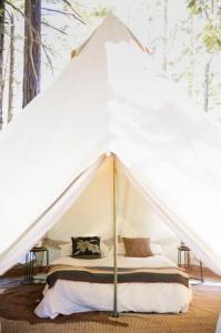 Tienda blanca con cama en una habitación con árboles en Monte da Tojeirinha, en Montargil